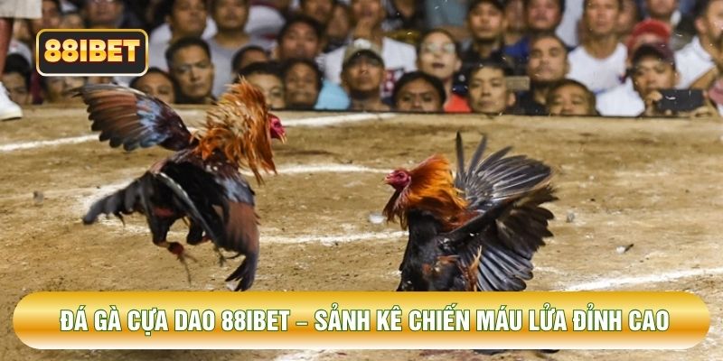 Đá Gà Cựa Dao 88IBET – Sảnh Kê Chiến Máu Lửa Đỉnh Cao