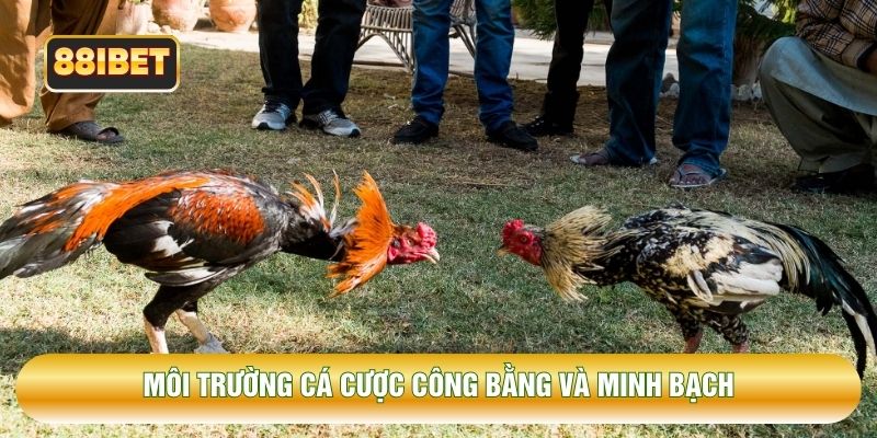 Môi trường cá cược công bằng và minh bạch