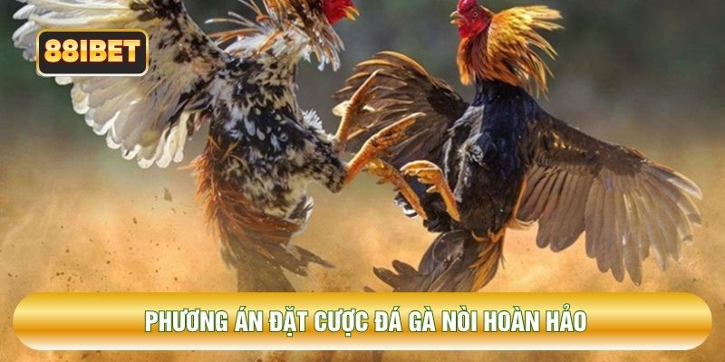 Phương án đặt cược đá gà nòi hoàn hảo