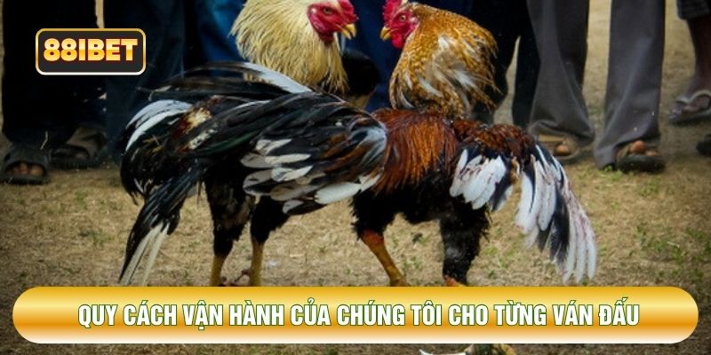 Quy cách vận hành của chúng tôi cho từng ván đấu