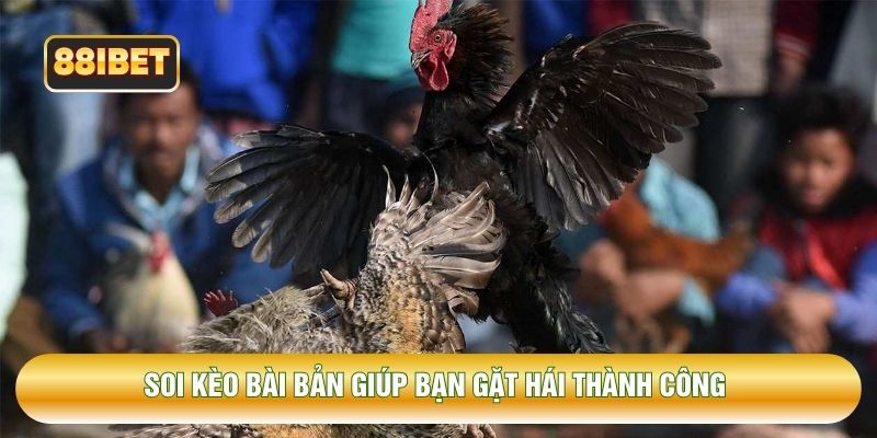 Soi kèo bài bản giúp bạn gặt hái thành công 