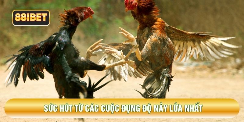 Sức hút từ các cuộc đụng độ nảy lửa nhất